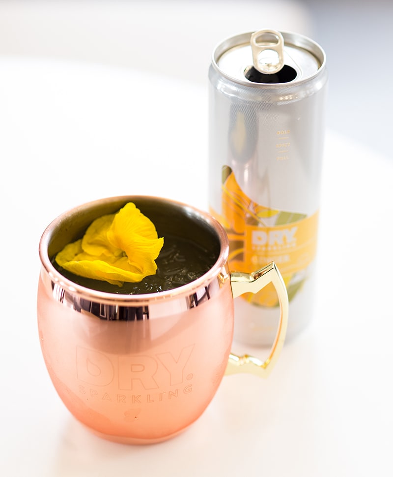 Behind the Scenes: DRY’s Ginger Launch Party