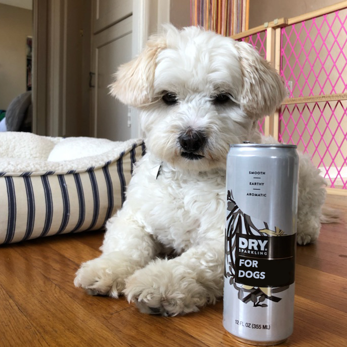 Introducing DRY Drinks For Dogs