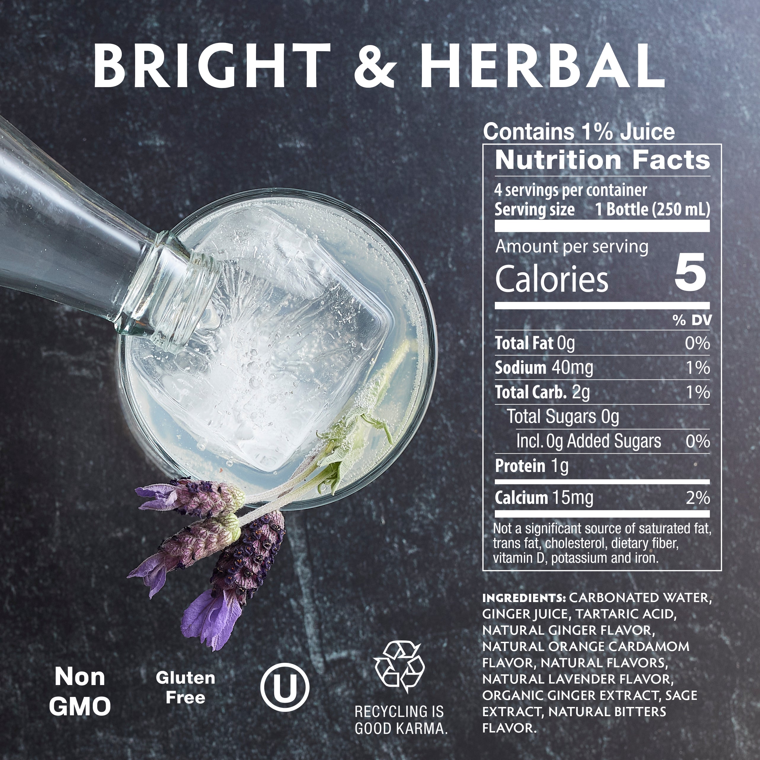 DRY Botanical Bitters & Soda  - Bright/Herbal  (12 pack)